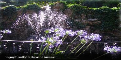 jet d'eau du bassin