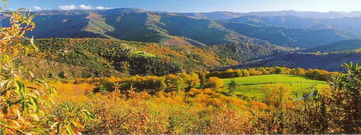 vue des cevennes